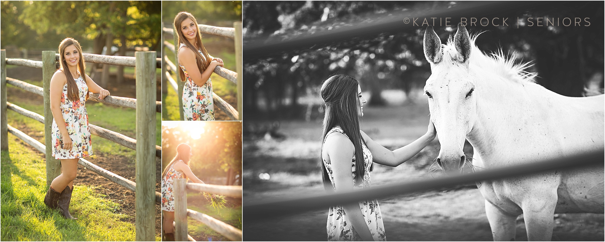 Summer Country Senior Photos