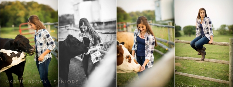 senior pictures with cows