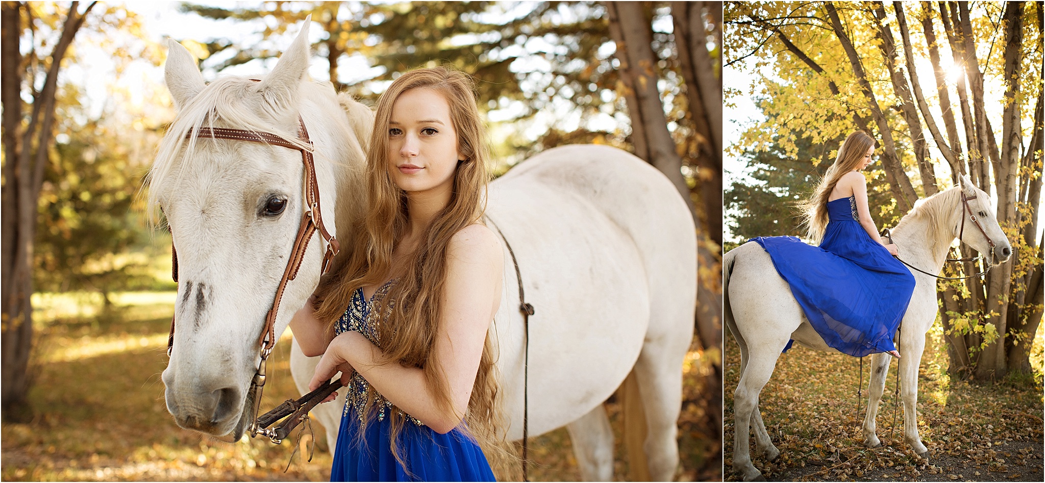 Horse senior pictures
