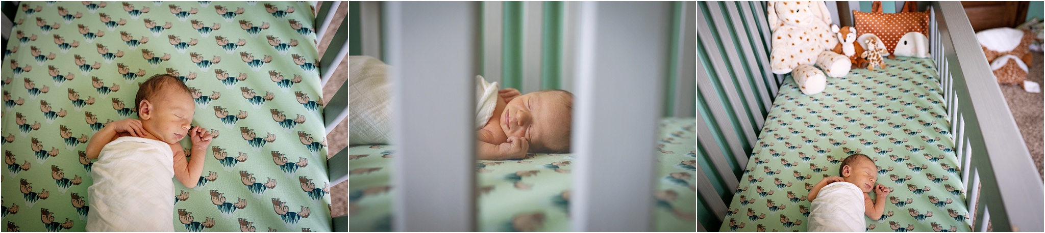 North Dakota Lifestyle nursery photos